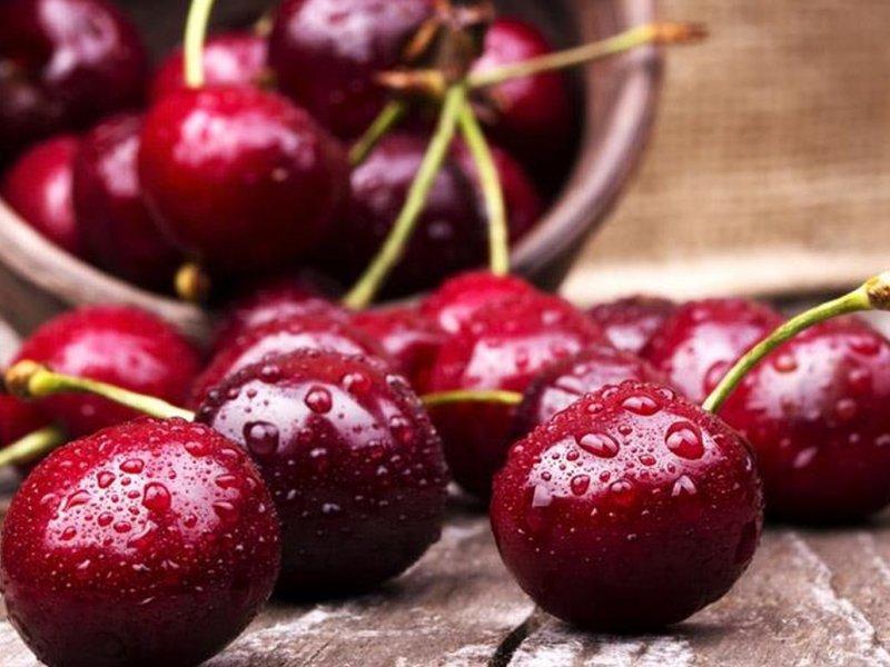 Вишня купить саженцы из питомника в Кургане