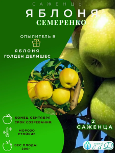 Яблоня Семеренко и опылитель Голден Делишес 2 саженца